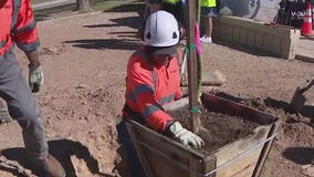 Peoria students plant greenery ahead of Arbor Day