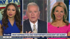 What happens if you and your partner's dogs don't get along?