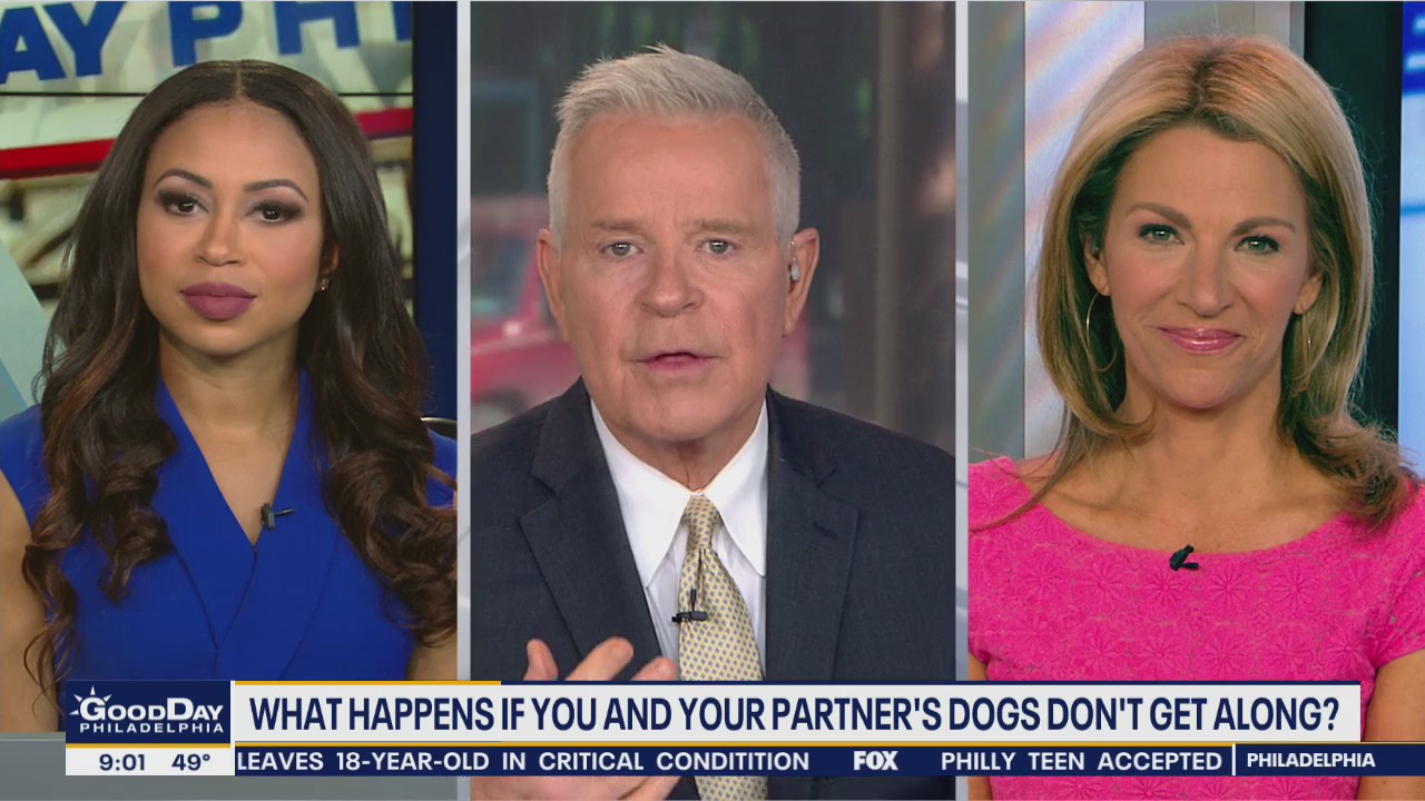 What happens if you and your partner's dogs don't get along?