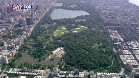 Central Park North