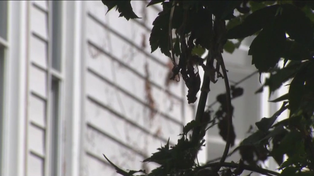 Milwaukee animal rescue; teen accused of firing shots at police