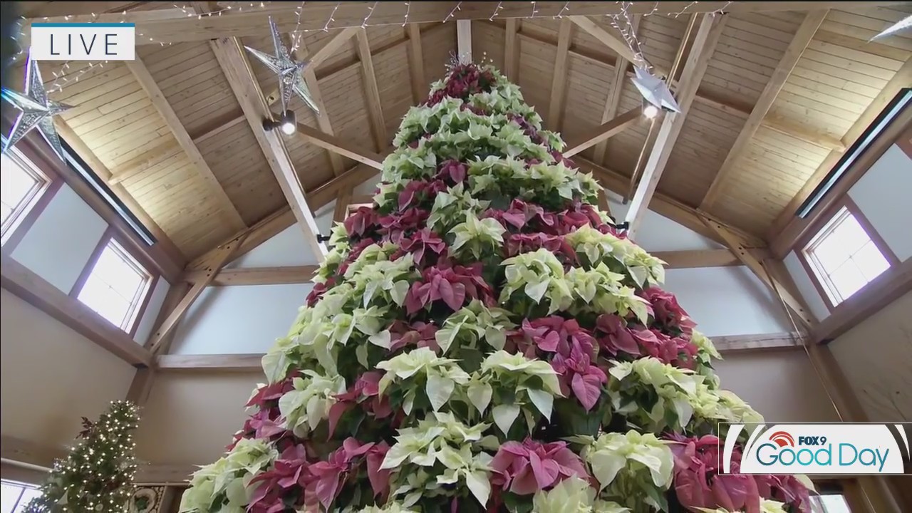 FOX 9 Good Day: Dec. 11, 2025