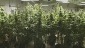 Governor's case for criminal justice