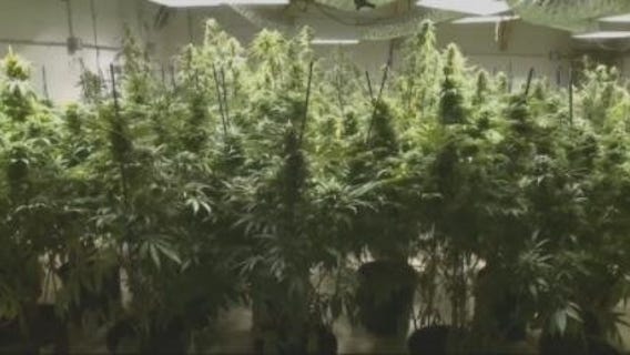 Governor's case for criminal justice