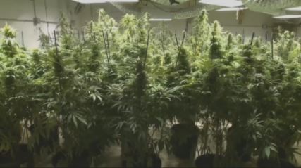 Governor's case for criminal justice