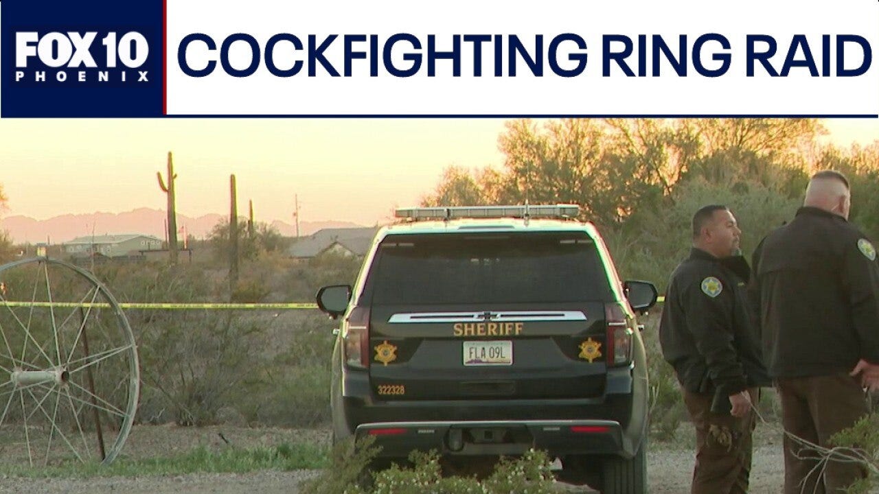 Dozens flee Tonopah home after deputies bust active cockfight