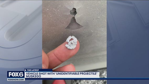 Muskego family shot at while driving