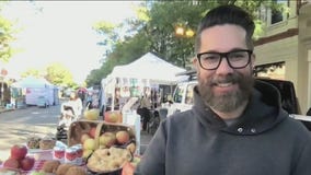 Lincoln Square Ravenswood 35th Annual Apple Fest returns