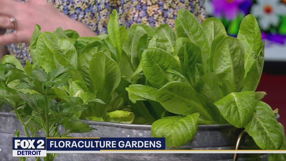 Flora Culture Gardens