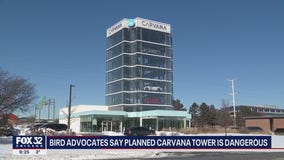 Bird advocates say planned Carvana tower is dangerous