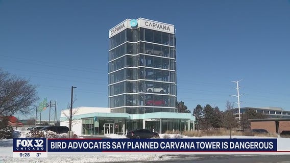 Bird advocates say planned Carvana tower is dangerous