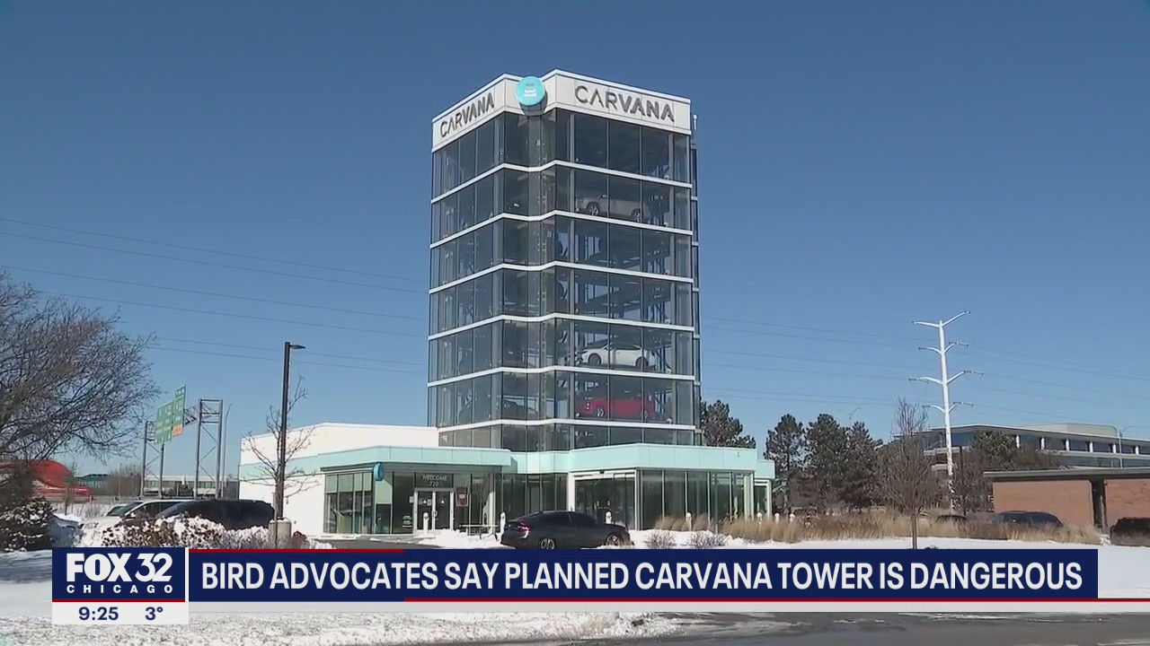 Bird advocates say planned Carvana tower is dangerous