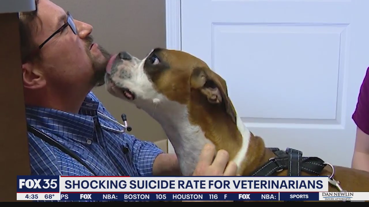 Shocking suicide rate for veterinarians