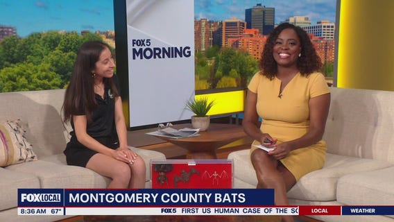Montgomery County to host classes about bats