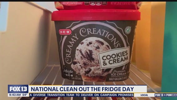 National Clean Out Your Fridge Day