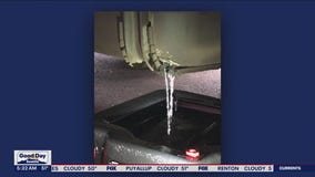 2 arrested in suspected gas theft