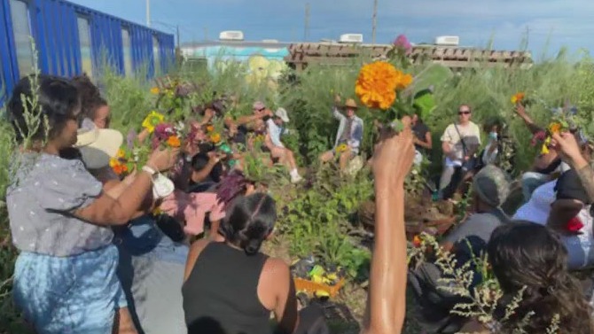 Urban Growers Collective hosts herb walk