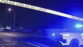 Man killed in apparent hit-and-run crash