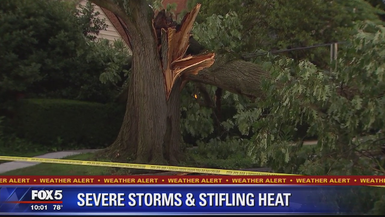 Severe storms bring damage to DMV | FOX 5 DC