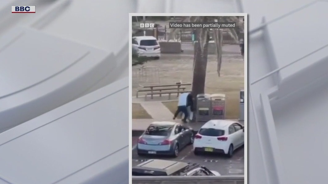 Syrian-born hero tackles Bondi gunman