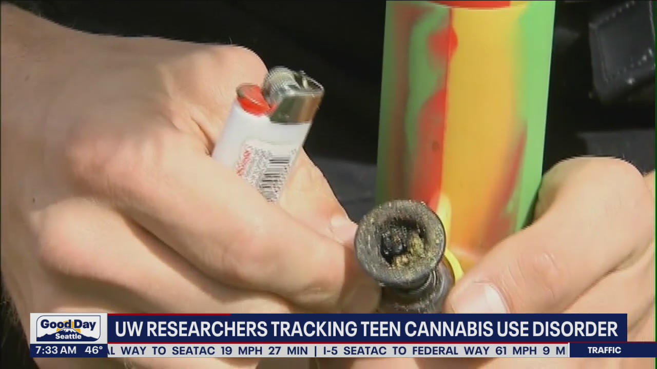 UW researchers tracking teen cannabis use disorder