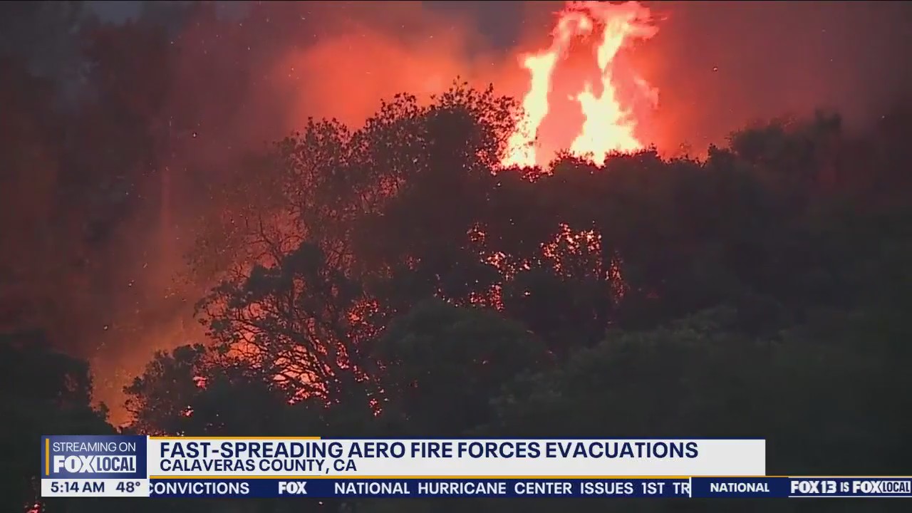 Fast-spreading wildfire forces evacuations in California | FOX 13 Seattle