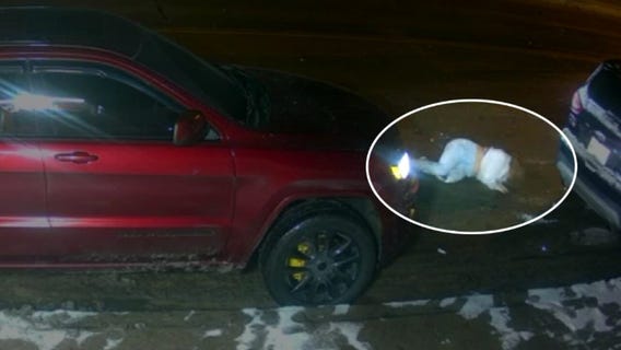 Mother seriously injured in hit-and-run