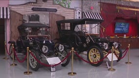 Charley's World | Collection on Palmetto