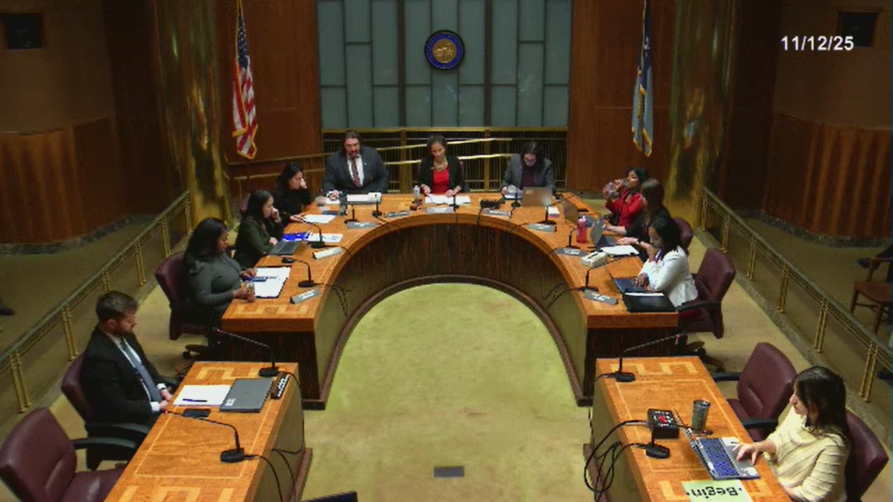 St. Paul leaders unanimously approve assault weapons ban