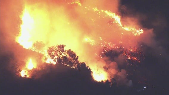 Coyote Fire: Wildfire burns in Hollywood Hills