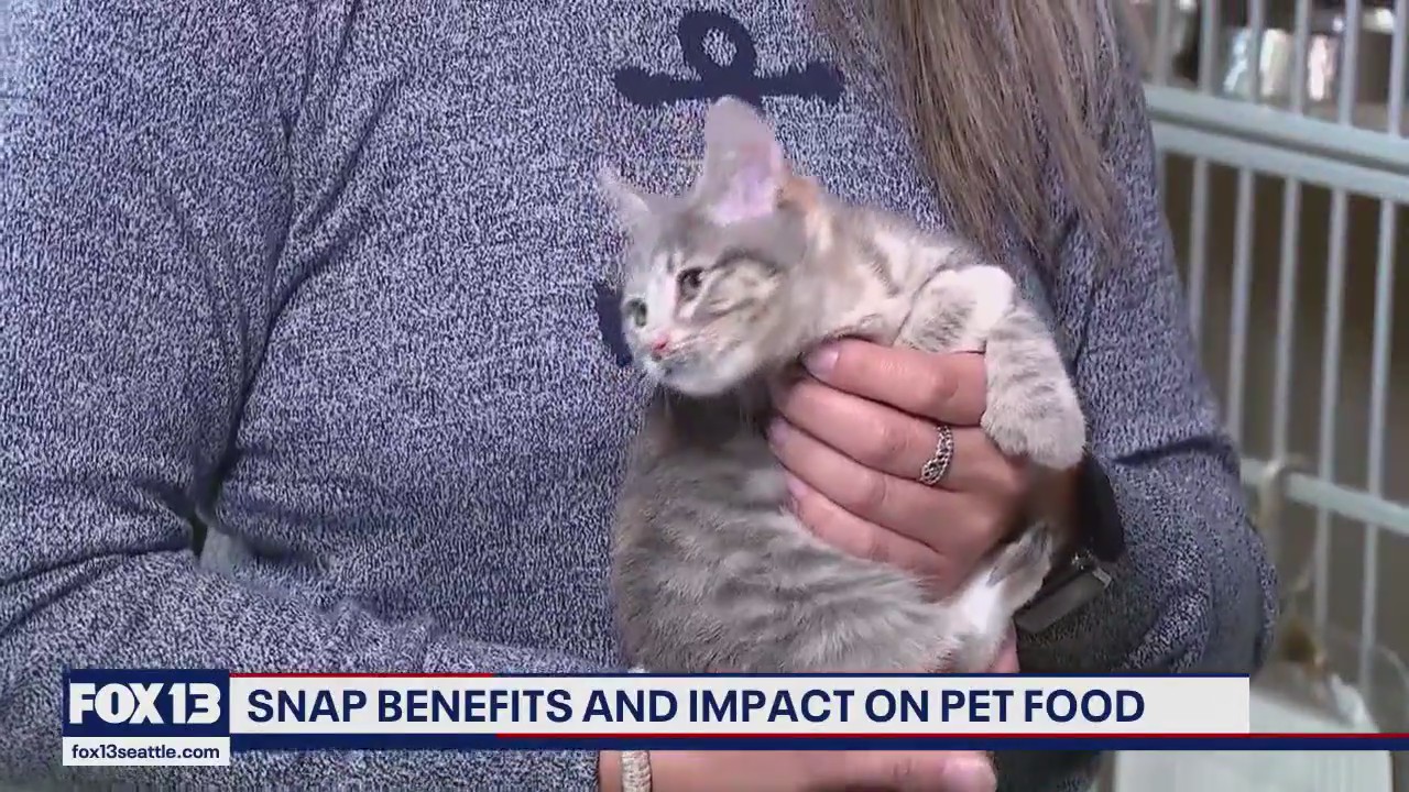 SNAP benefits and impact on pet food in WA