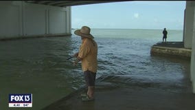 Fun ways to beat Florida's summer heat