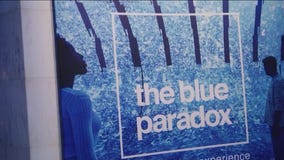 New MSI exhibit explores the devastating effects of plastic pollution in our oceans