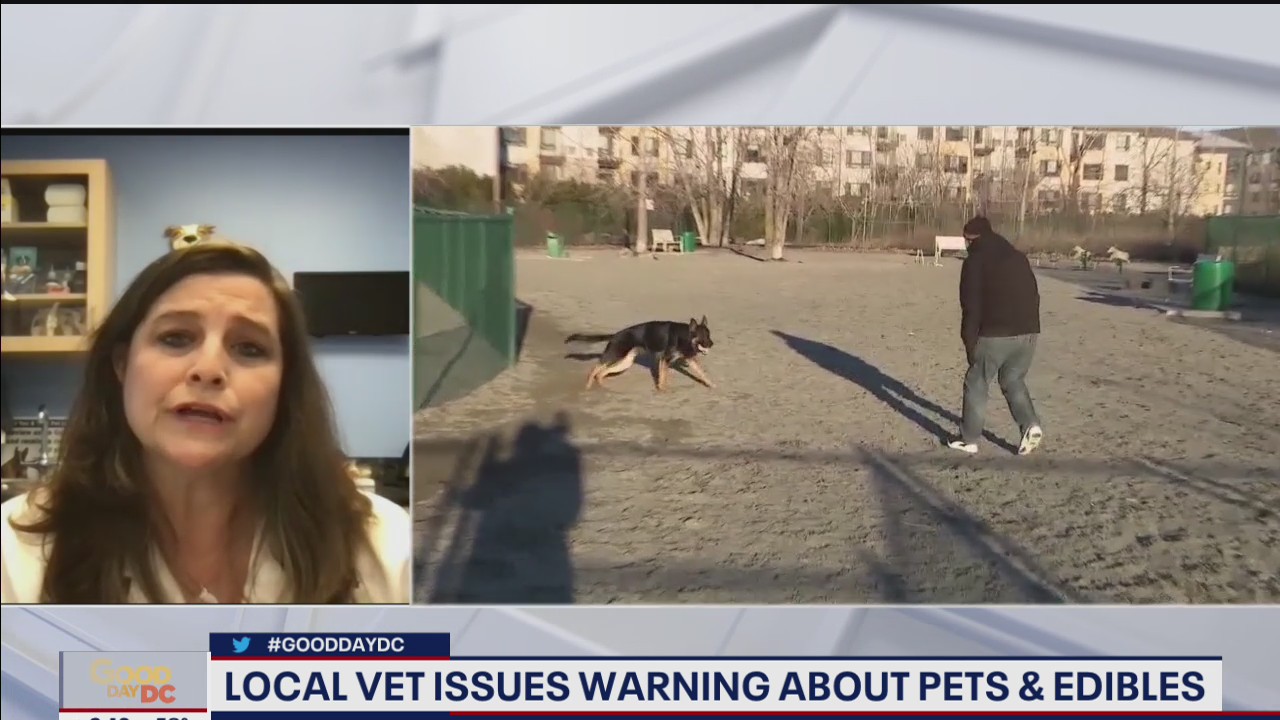 Local vet issues warning about pets and edibles