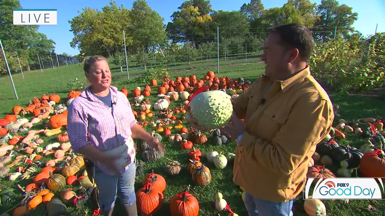 Celebrate fall at the Arboretum with 300 varieties of squash