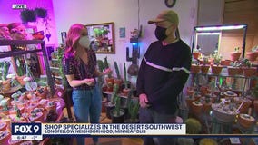 A visit to Fractal Cactus; Minneapolis shop full of curious cacti and creatures