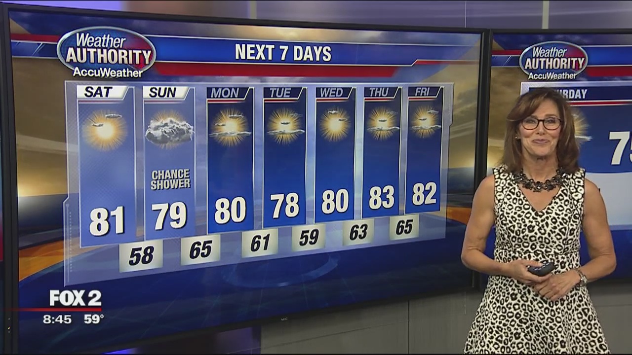 Sunny & Breezy Today