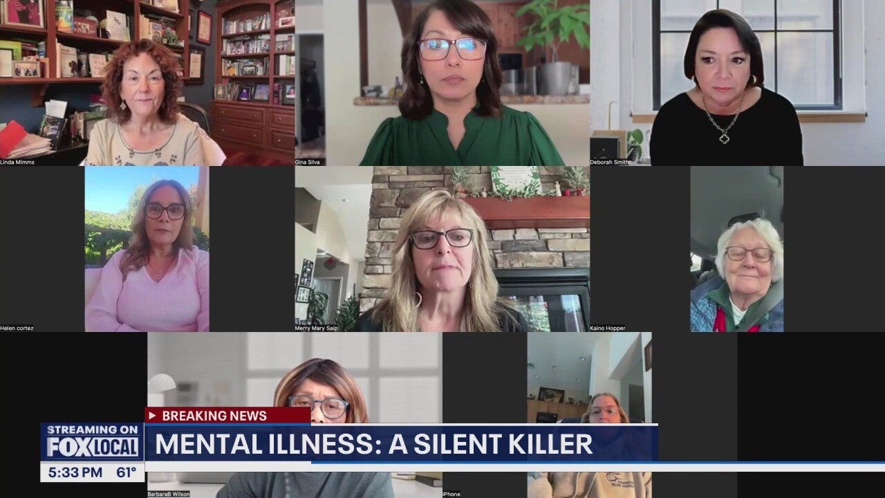 Moms speak on mental illness amid Rob Reiner's death