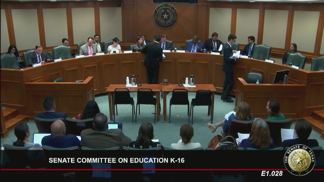 Texas Senate committee on House Bill 2