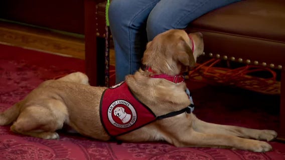 Bill supporting service dogs in training [RAW]