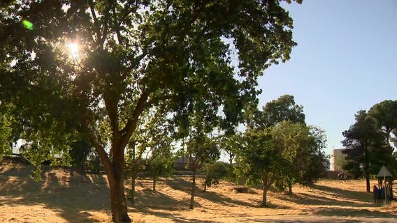 Homeless woman killed by lawn mower at public park