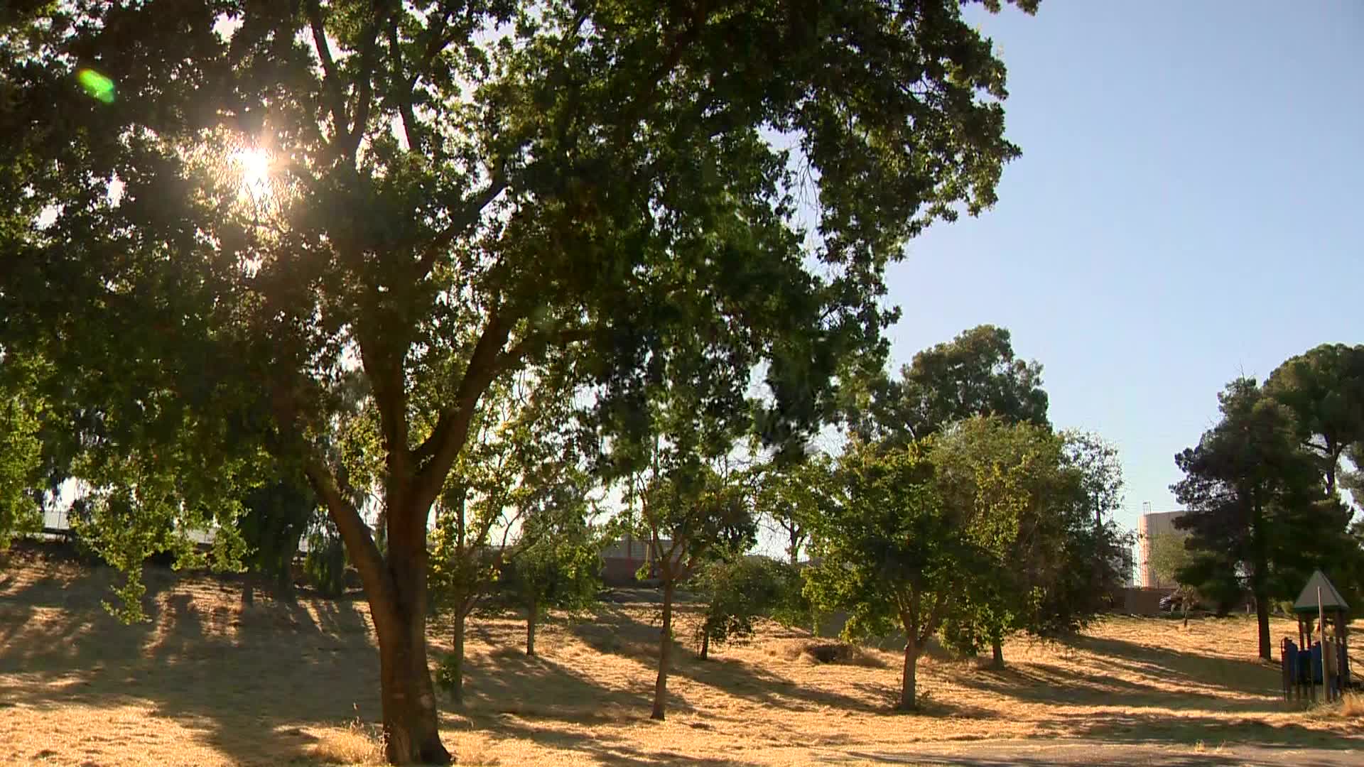 Homeless woman killed by lawn mower at public park