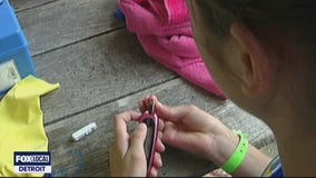 Kids Back to School Health