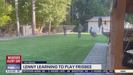 Pet Tricks for Tuesday, Dec. 9