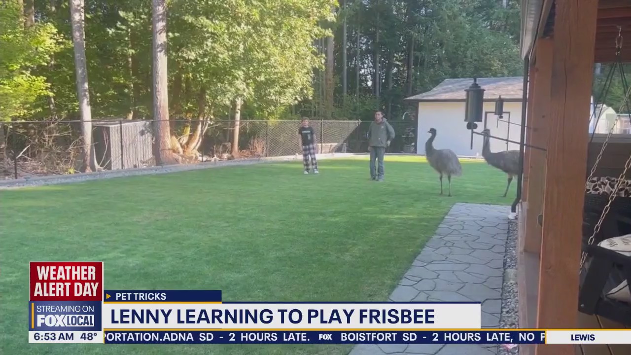 Pet Tricks for Tuesday, Dec. 9