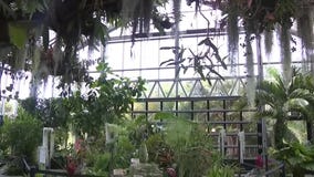 Arizona woman teaches how to create wildlife-friendly gardens