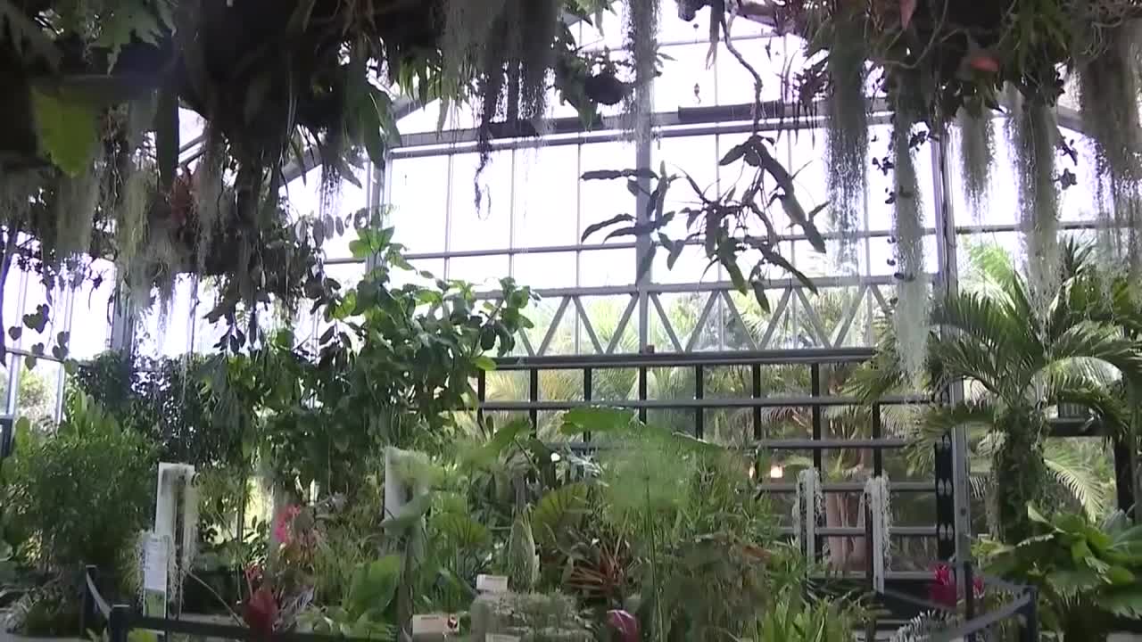 Arizona woman teaches how to create wildlife-friendly gardens