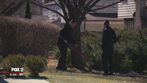 FOXe Report - Eco friendly lawn care is possible - here's how: