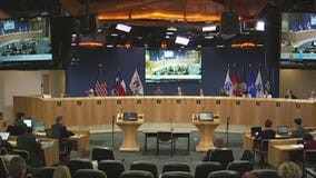 Austin City Council Election Profiles: DISTRICT 1