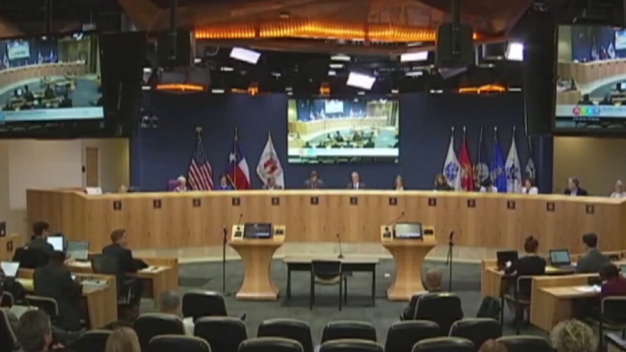 Austin City Council Election Profiles: DISTRICT 1